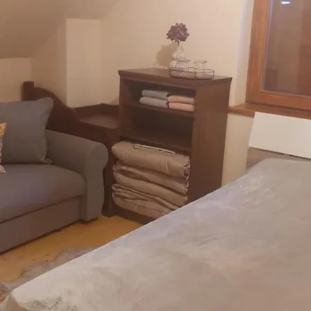 Kirulyi Erdeszhaz Villa Băile Chirui