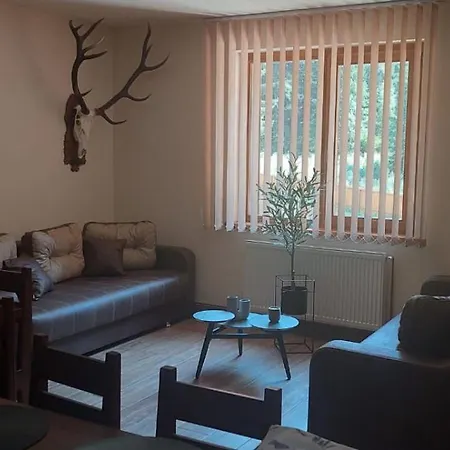 Kirulyi Erdeszhaz Villa Băile Chirui